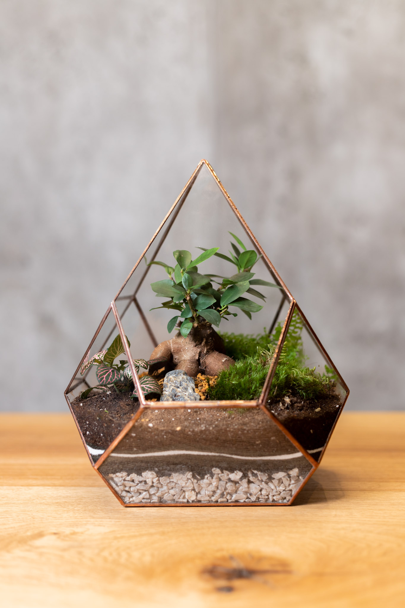 Zatvorené rastlinné terárium