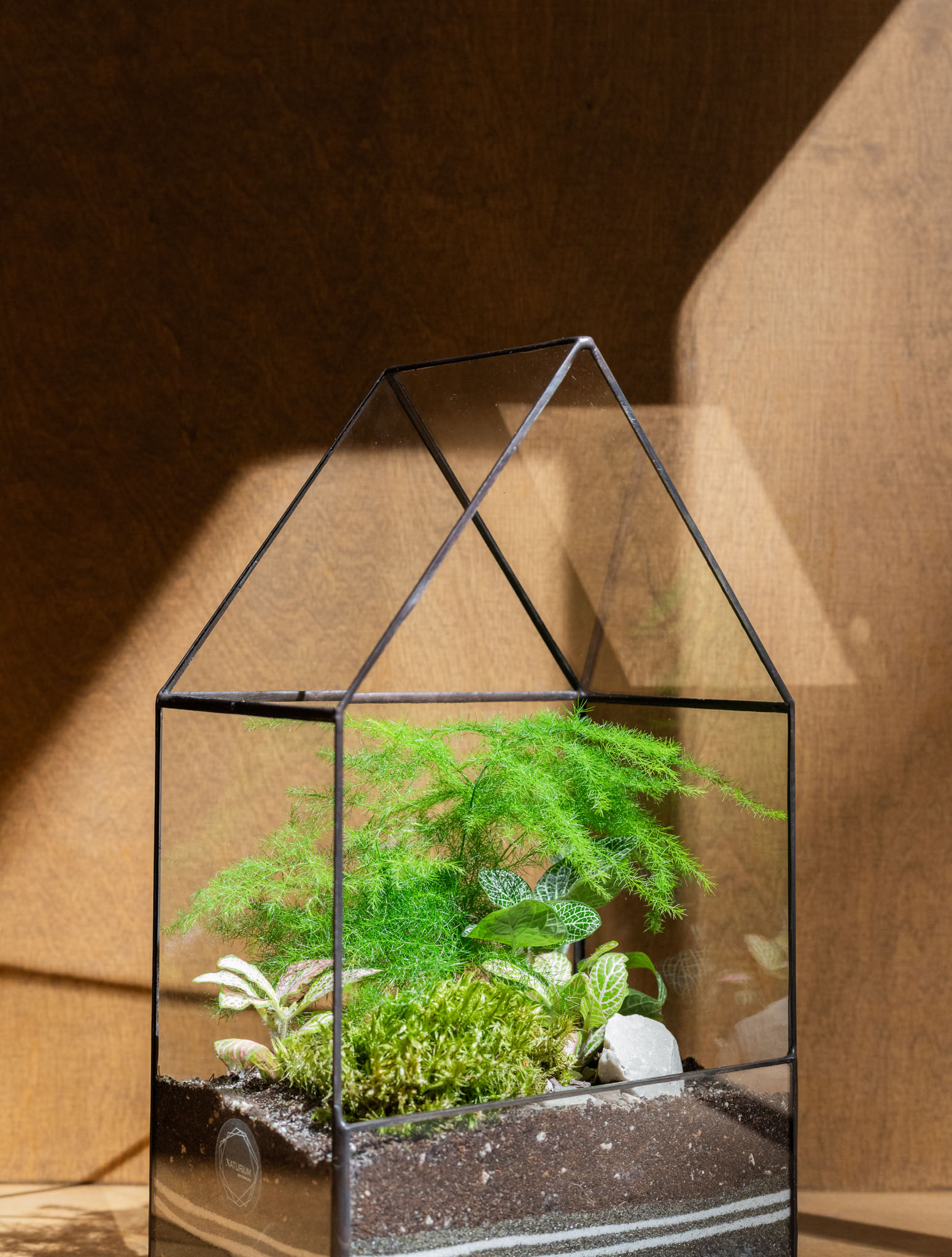 Menšie otvorené rastlinné terárium v tvare domčeka ako dizajnový prvok do interiéru