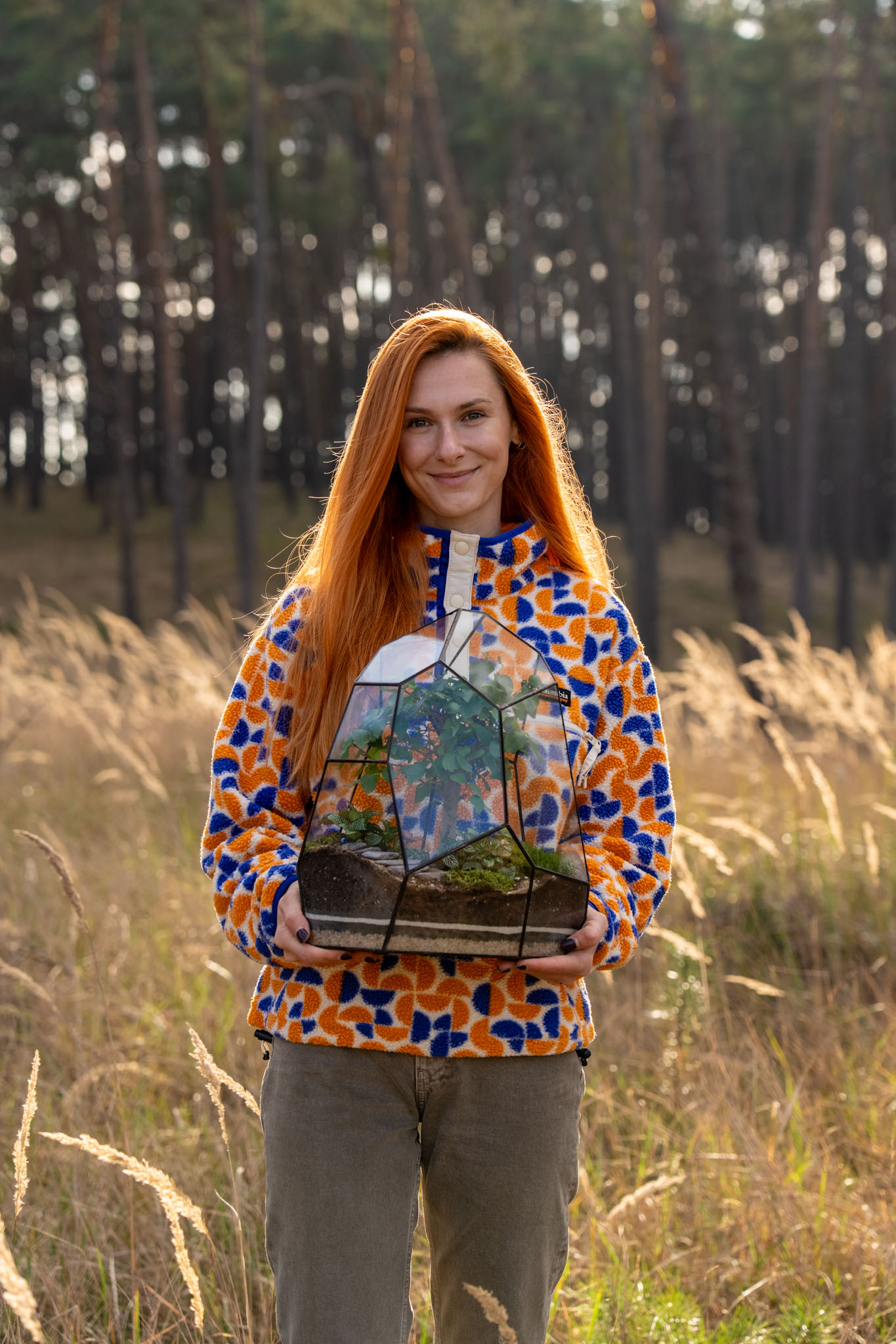 Rastlinné terárium – uzavretý ekosystém s rastlinami a kameňmi v sklenenej biosfére