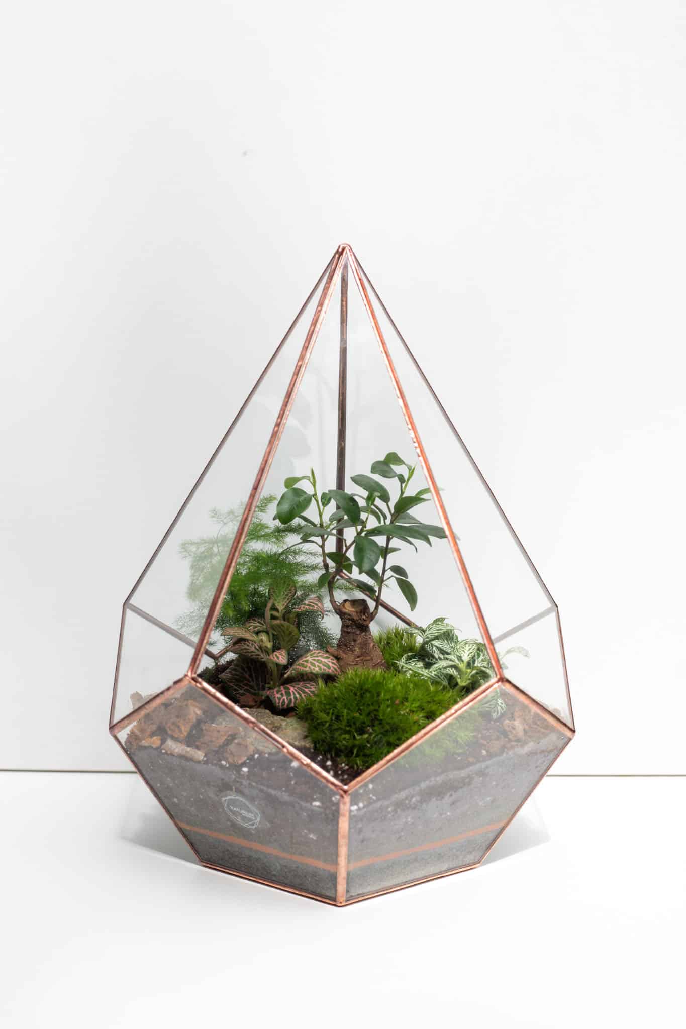 Rastlinné terárium – florárium v sklenenej biosfére ako prírodná dekorácia interiéru