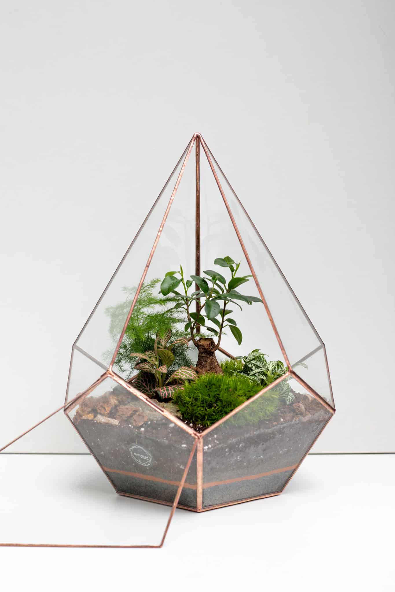 Rastlinné terárium – florárium v sklenenej biosfére ako prírodná dekorácia interiéru