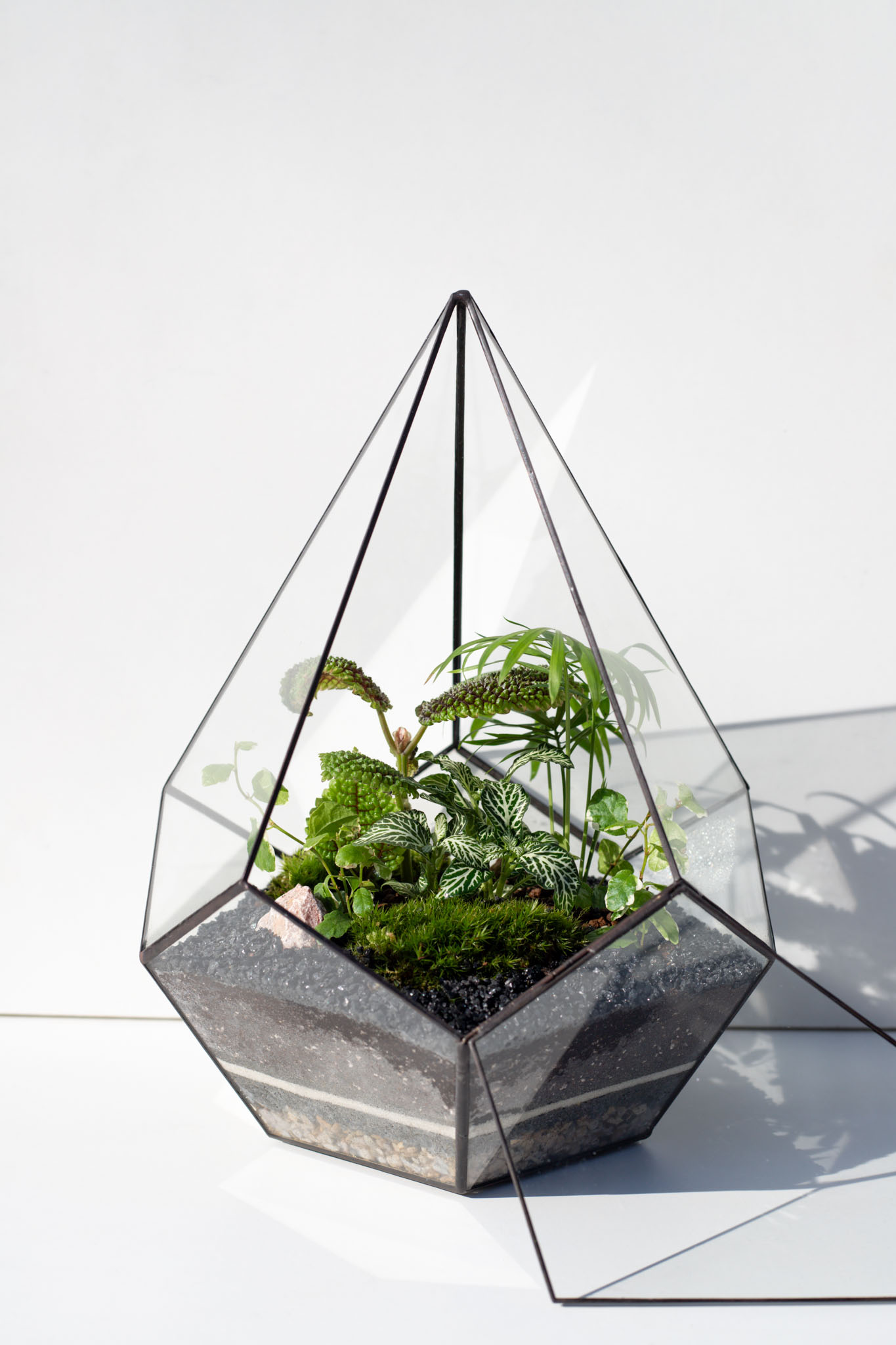 Živý ekosystém v skle: rastlinné terárium s machom a rastlinami