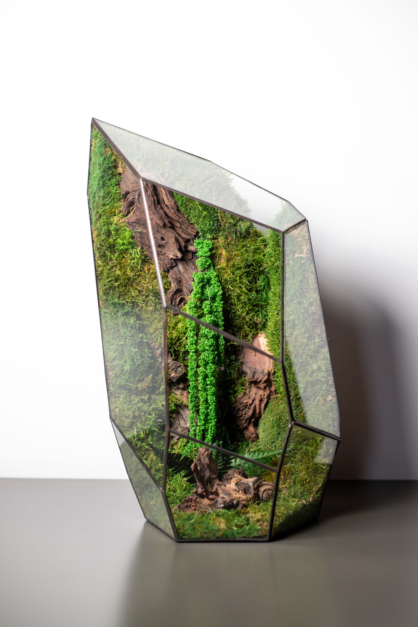 Bezúdržbové machové stabilizované terárium – nulová starostlivosť