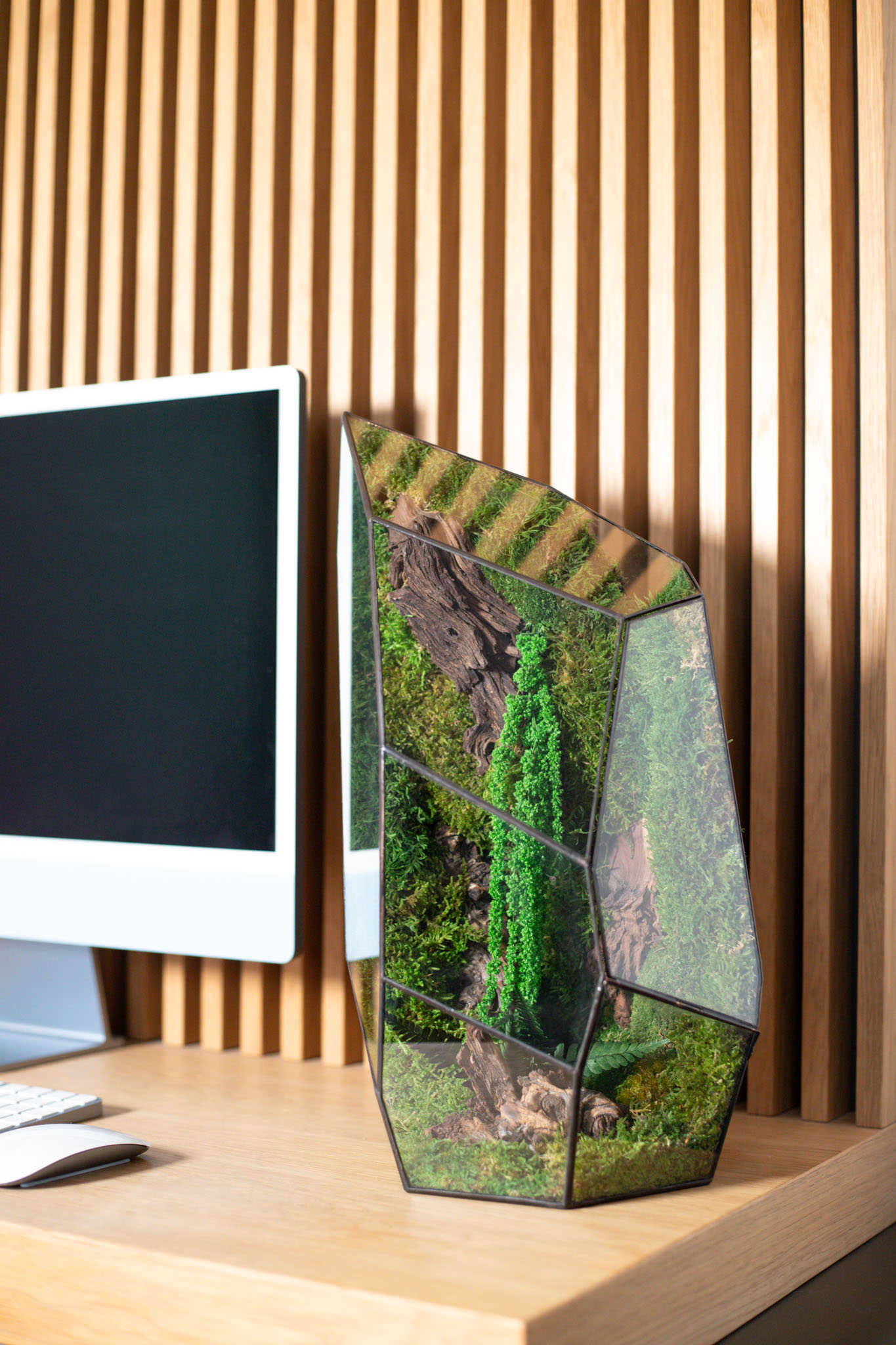 Bezúdržbové machové stabilizované terárium – nulová starostlivosť