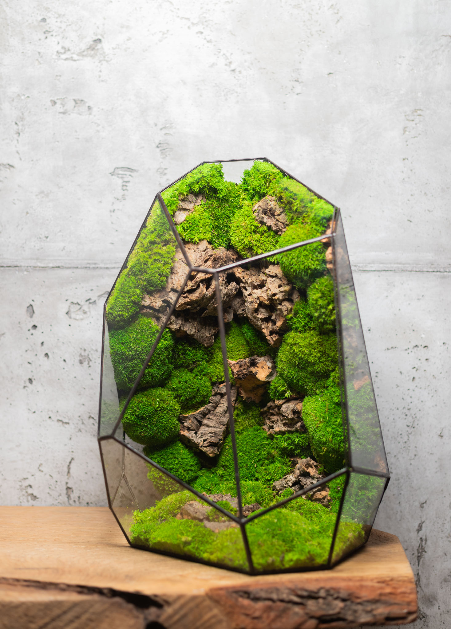 Bezúdržbové machové stabilizované terárium ako interiérový doplnok
