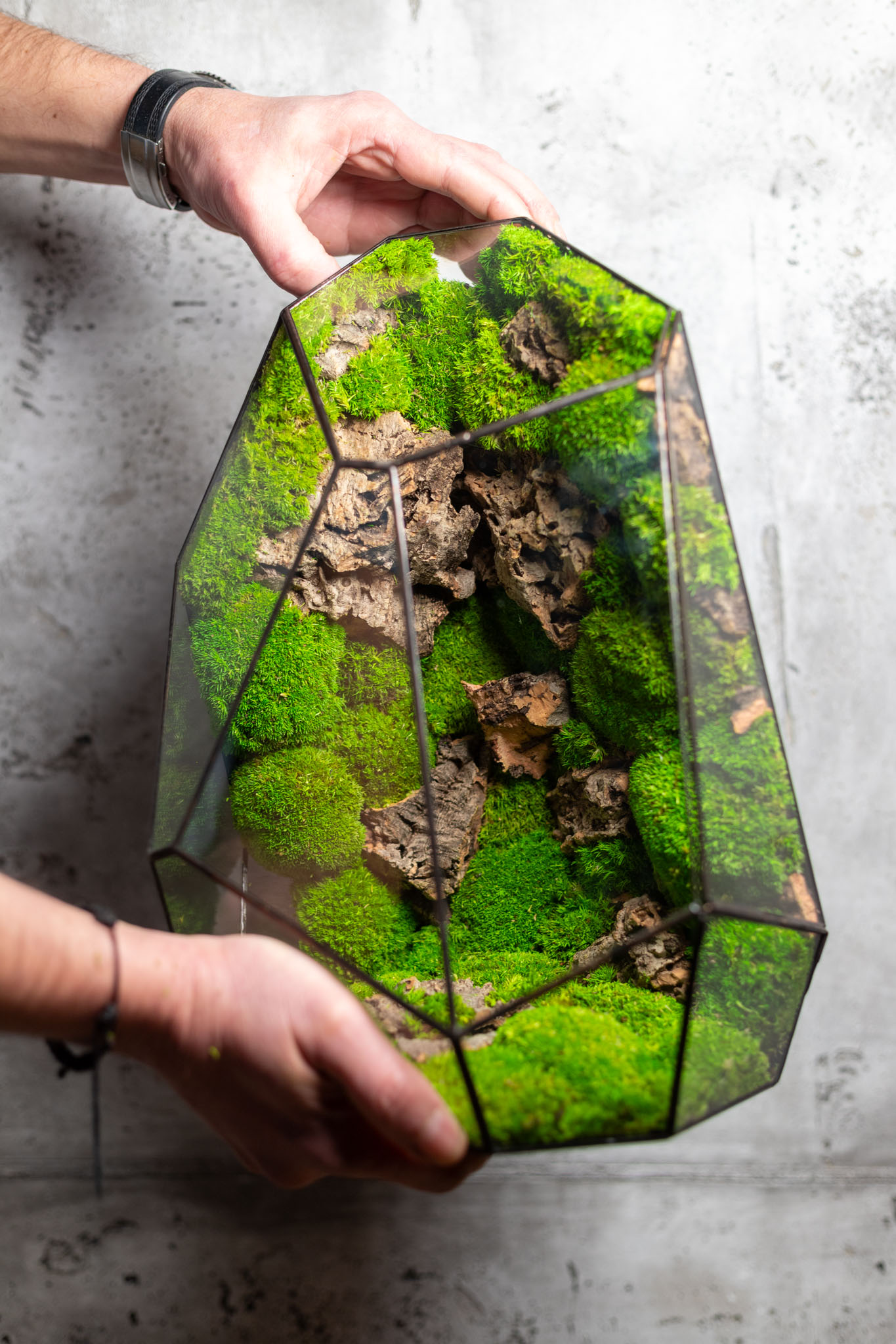 Bezúdržbové machové stabilizované terárium ako interiérový doplnok