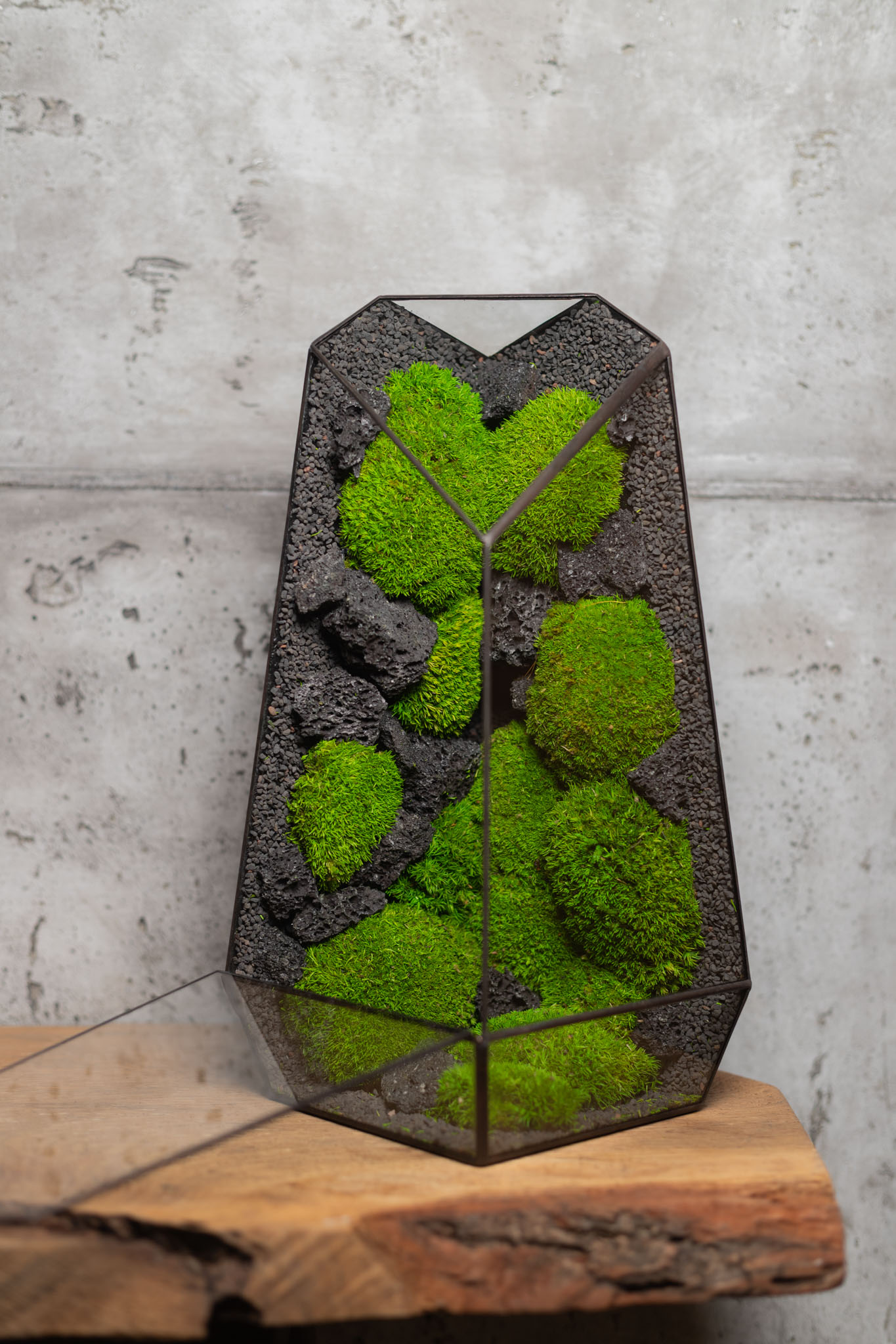 Bezúdržbové stabilizované machové terárium ako interiérový doplnok a machová dekorácia