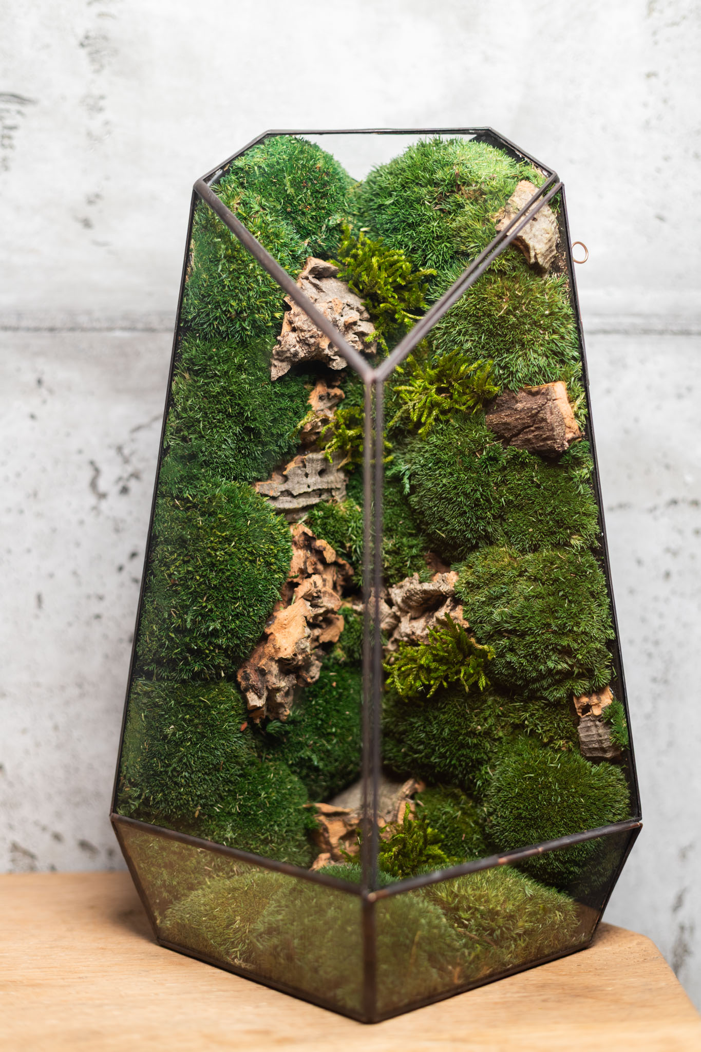 Bezúdržbové stabilizované machové terárium ako interiérový doplnok a machová dekorácia