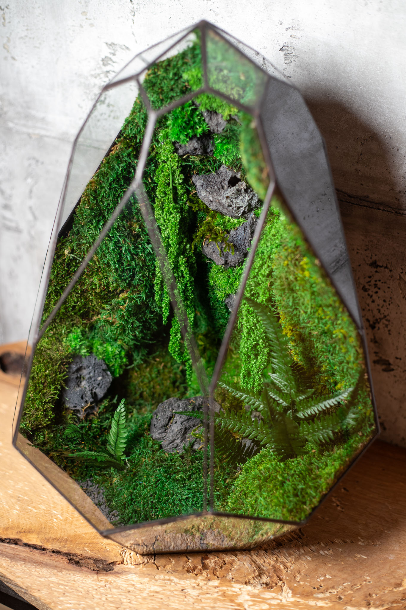 Bezúdržbové stabilizované machové veľké terárium ako interiérový doplnok