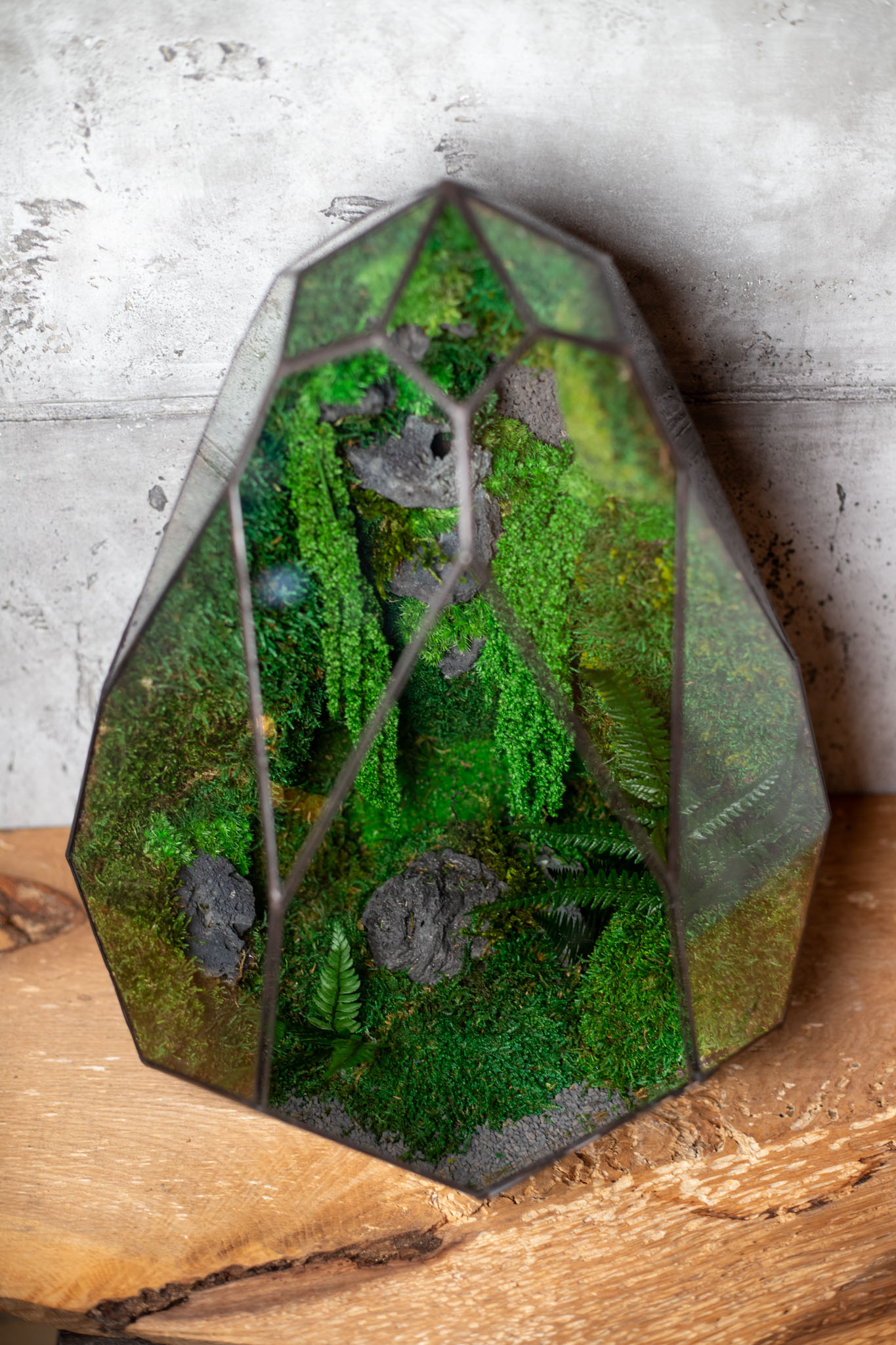 Bezúdržbové stabilizované machové veľké terárium ako interiérový doplnok
