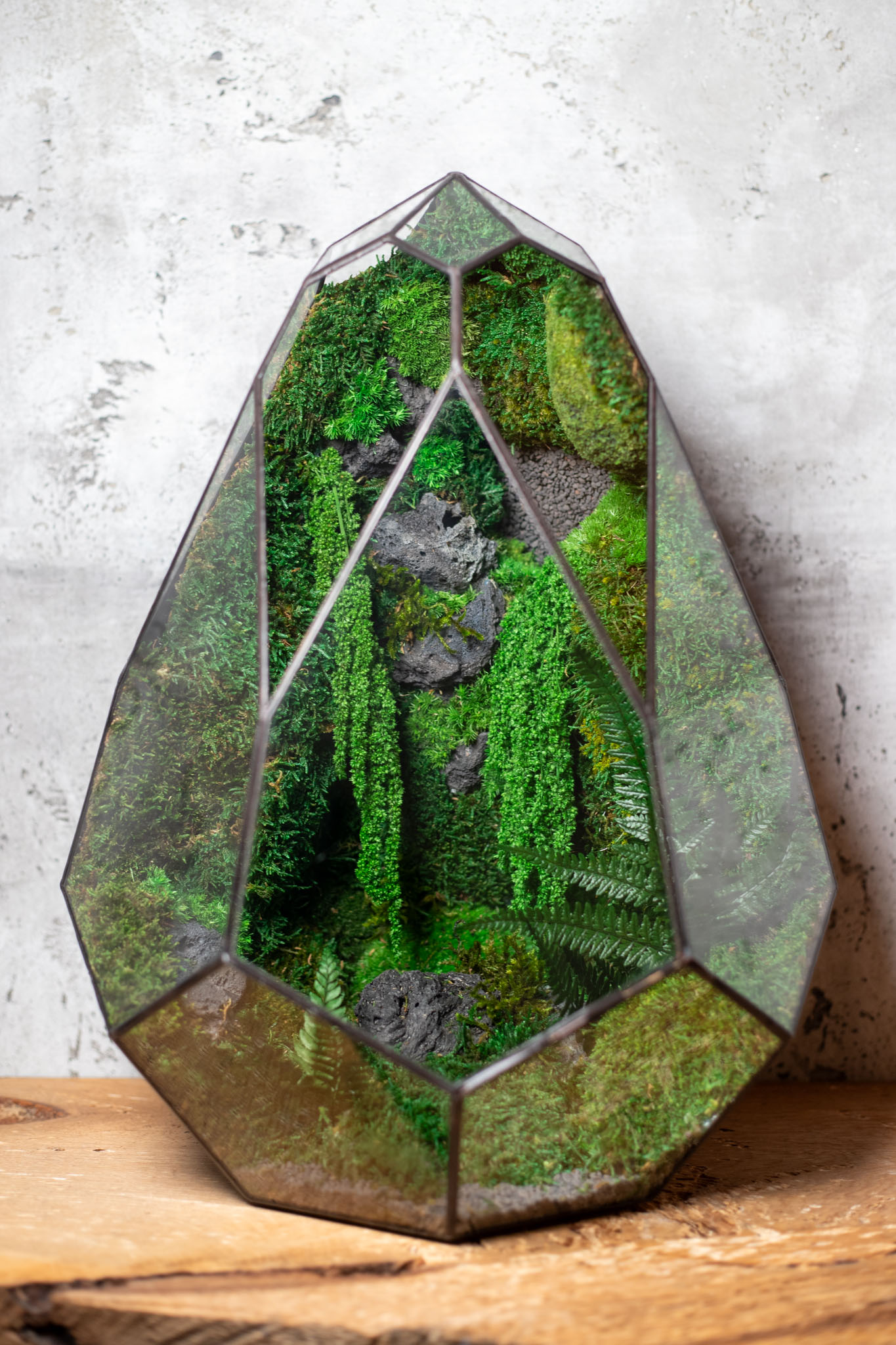 Bezúdržbové stabilizované machové veľké terárium ako interiérový doplnok