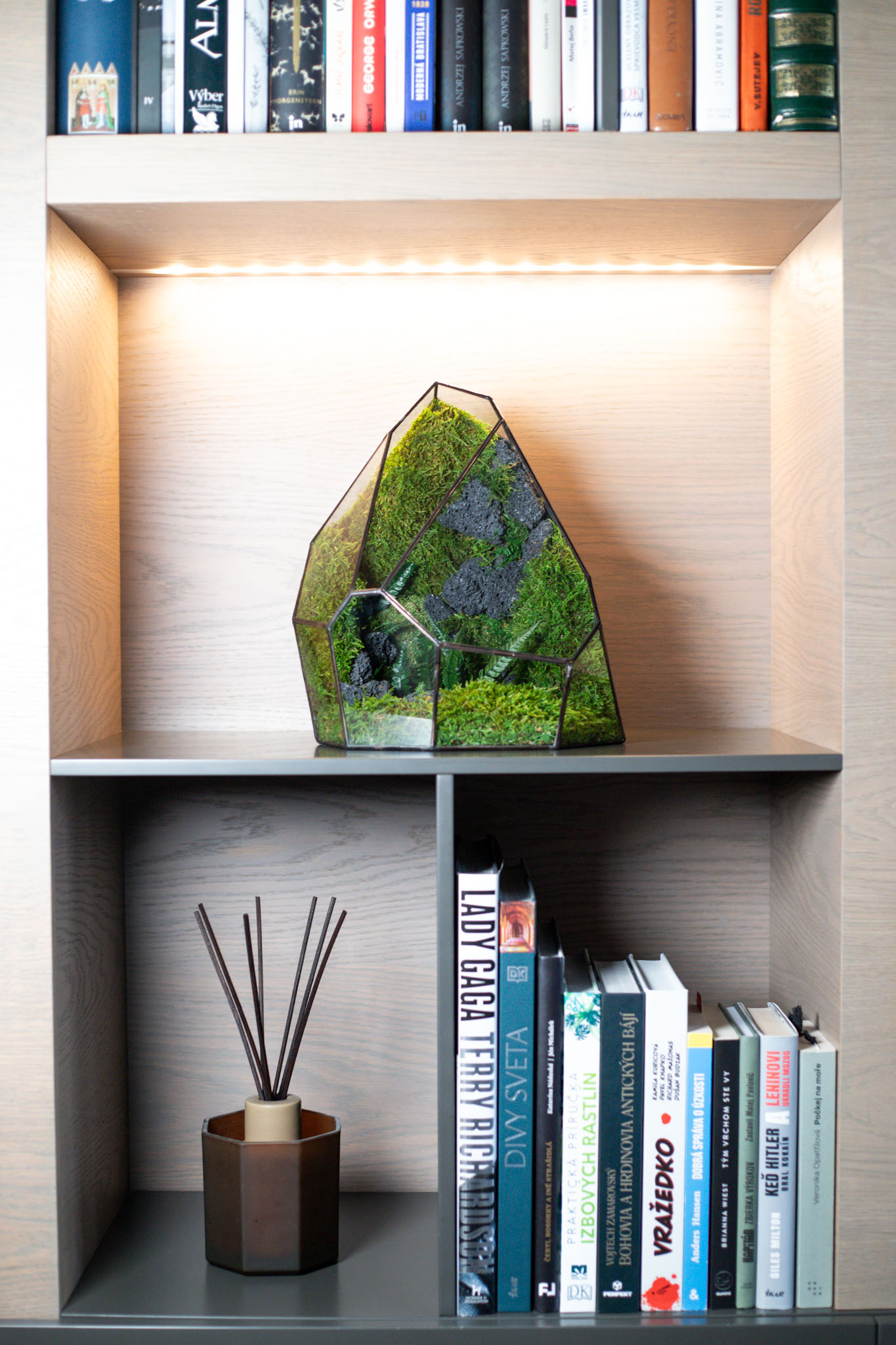 Bezúdržbové machové stabilizované terárium – nulová starostlivosť