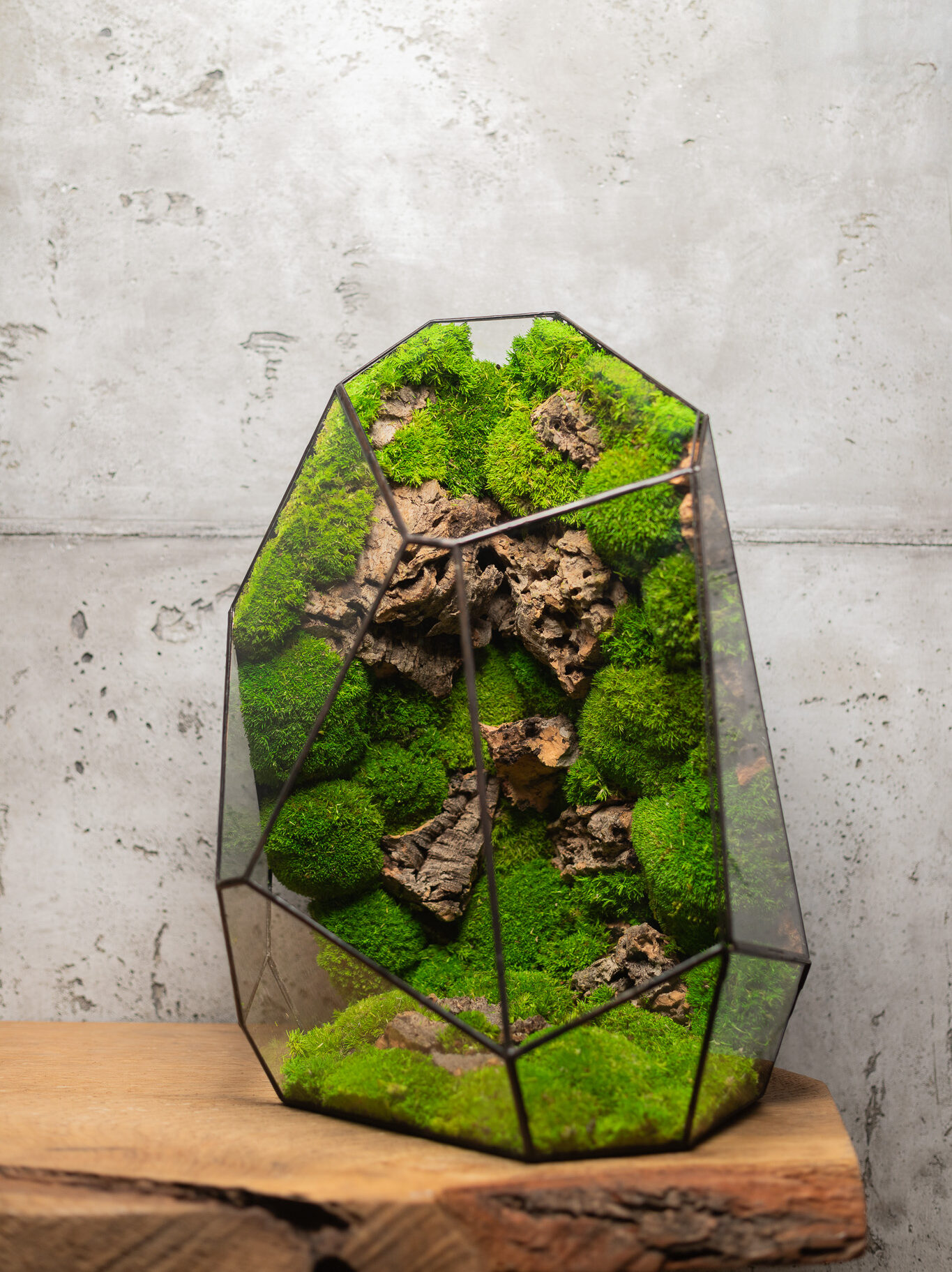 Bezúdržbové stabilizované terárium „KRIŠTÁL“ od Naturium – elegantná dekorácia do interiéru