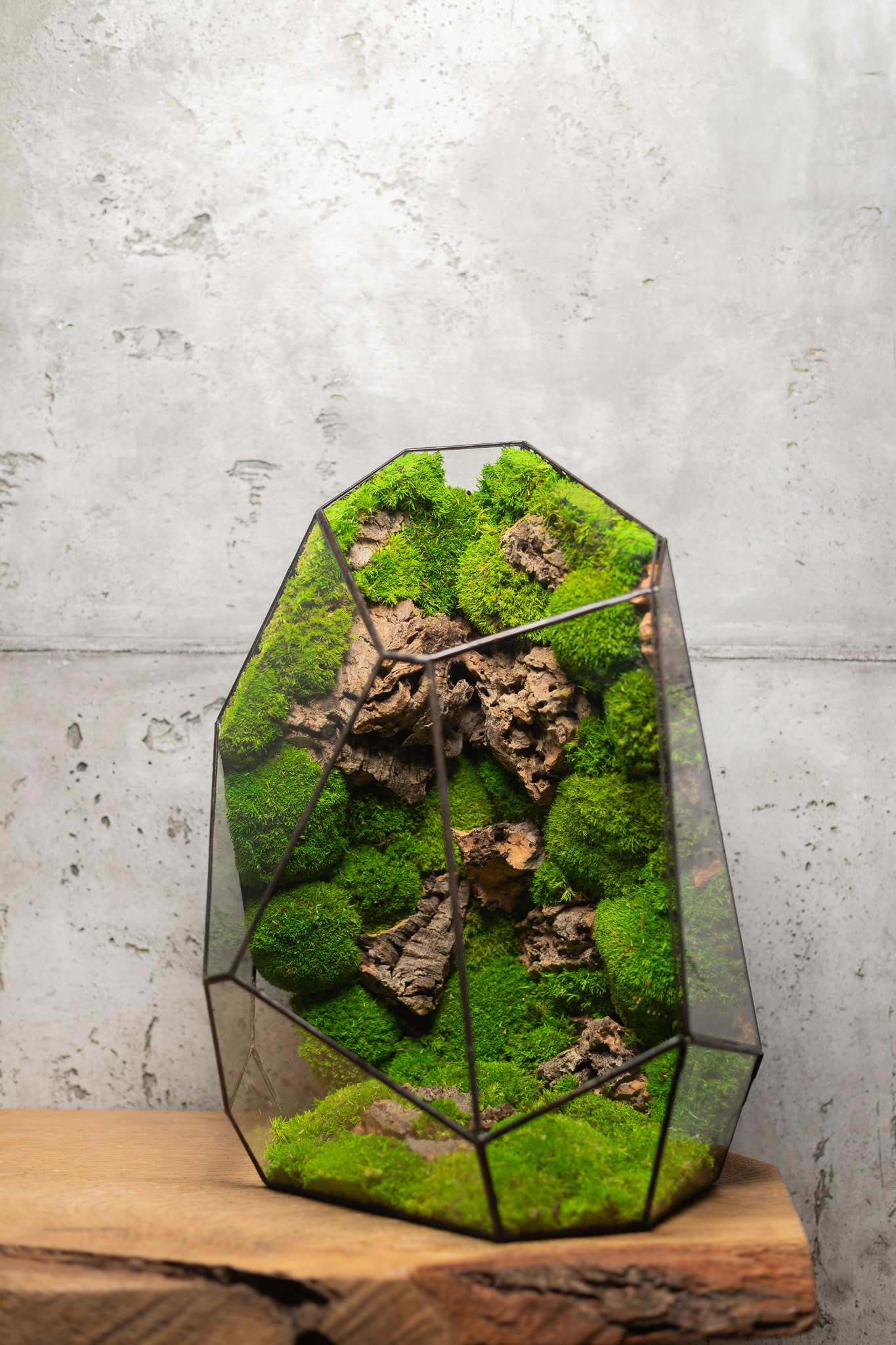 Bezúdržbové stabilizované terárium „KRIŠTÁL“ od Naturium – elegantná dekorácia do interiéru