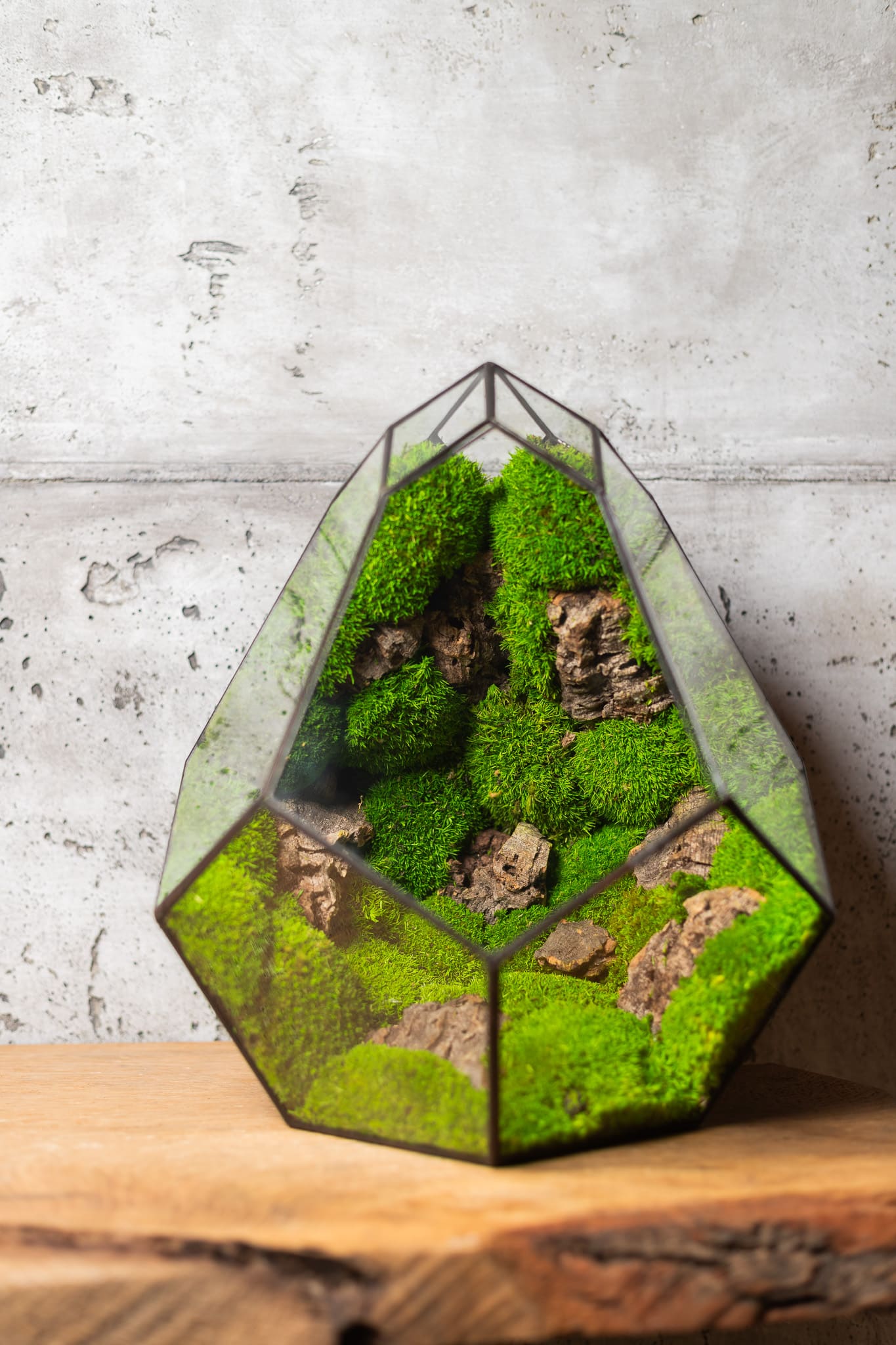 Detail stabilizovaného terária „MANGO“ od Naturium – precízna ručná výroba