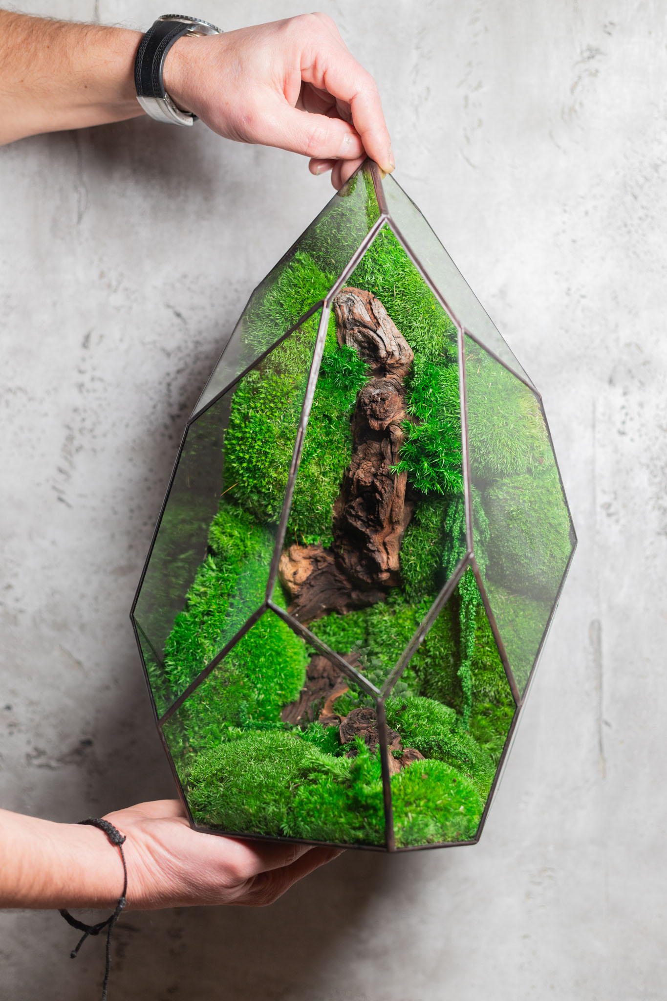 Bezúdržbové machové stabilizované terárium Veža – nulová starostlivosť