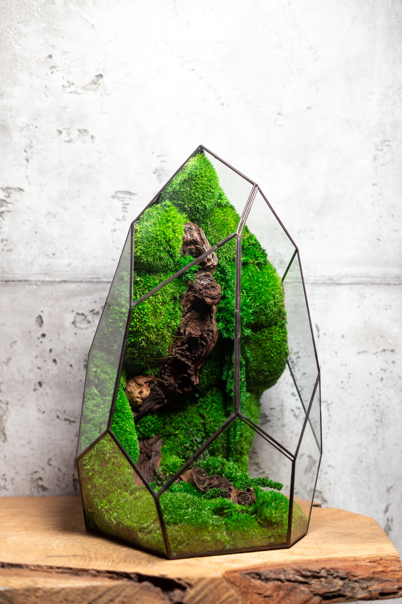 Bezúdržbové machové stabilizované terárium Veža – nulová starostlivosť