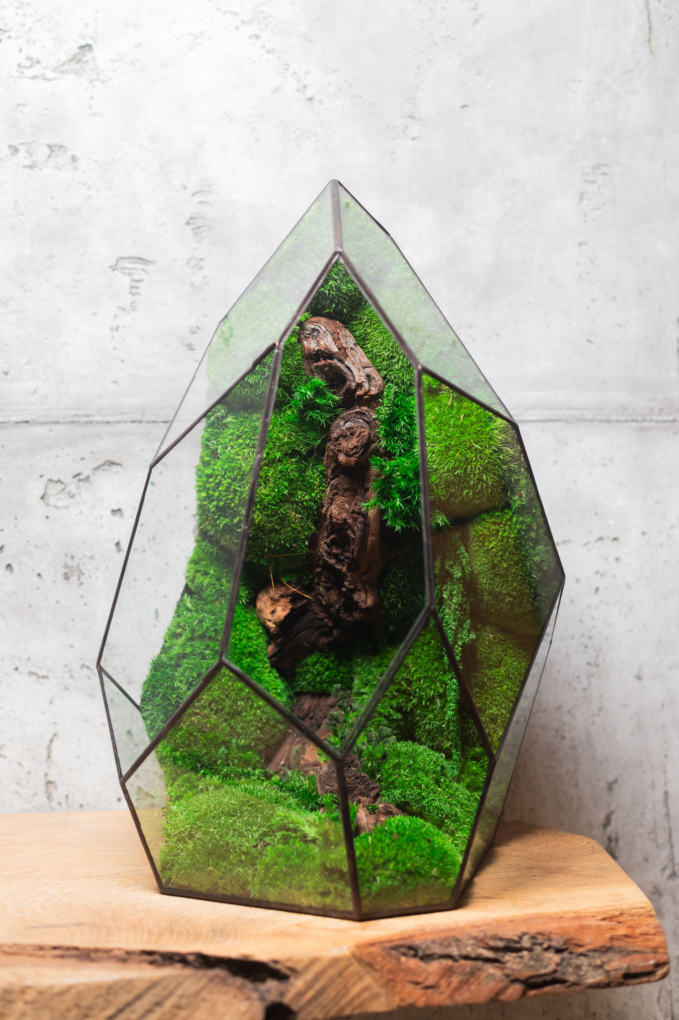 Bezúdržbové machové stabilizované terárium Veža – nulová starostlivosť