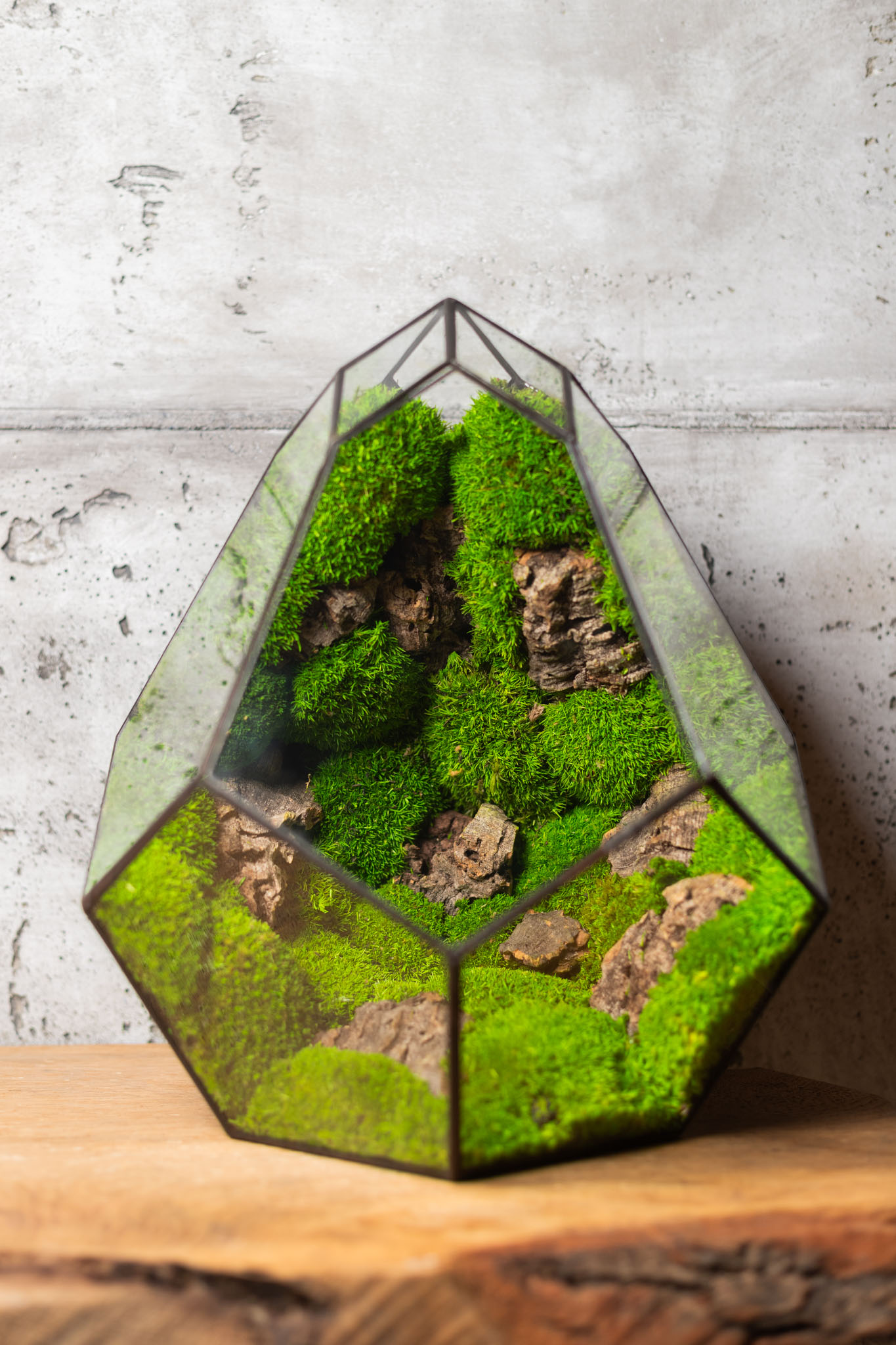 Bezúdržbové machové terárium zo stabilizovaného machu v ručne vyrobenom vitrážnom skle Mango