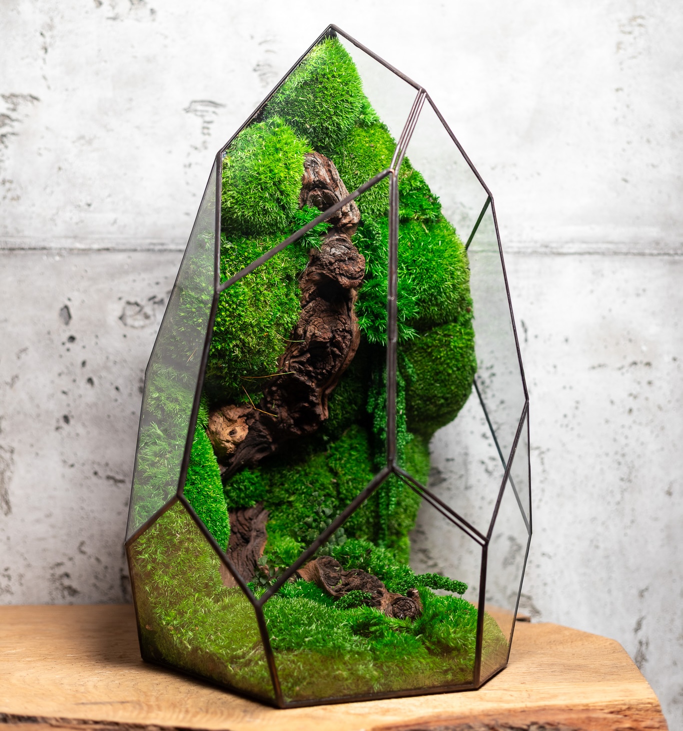 Bezúdržbové machové terárium Veža ako originálny darček