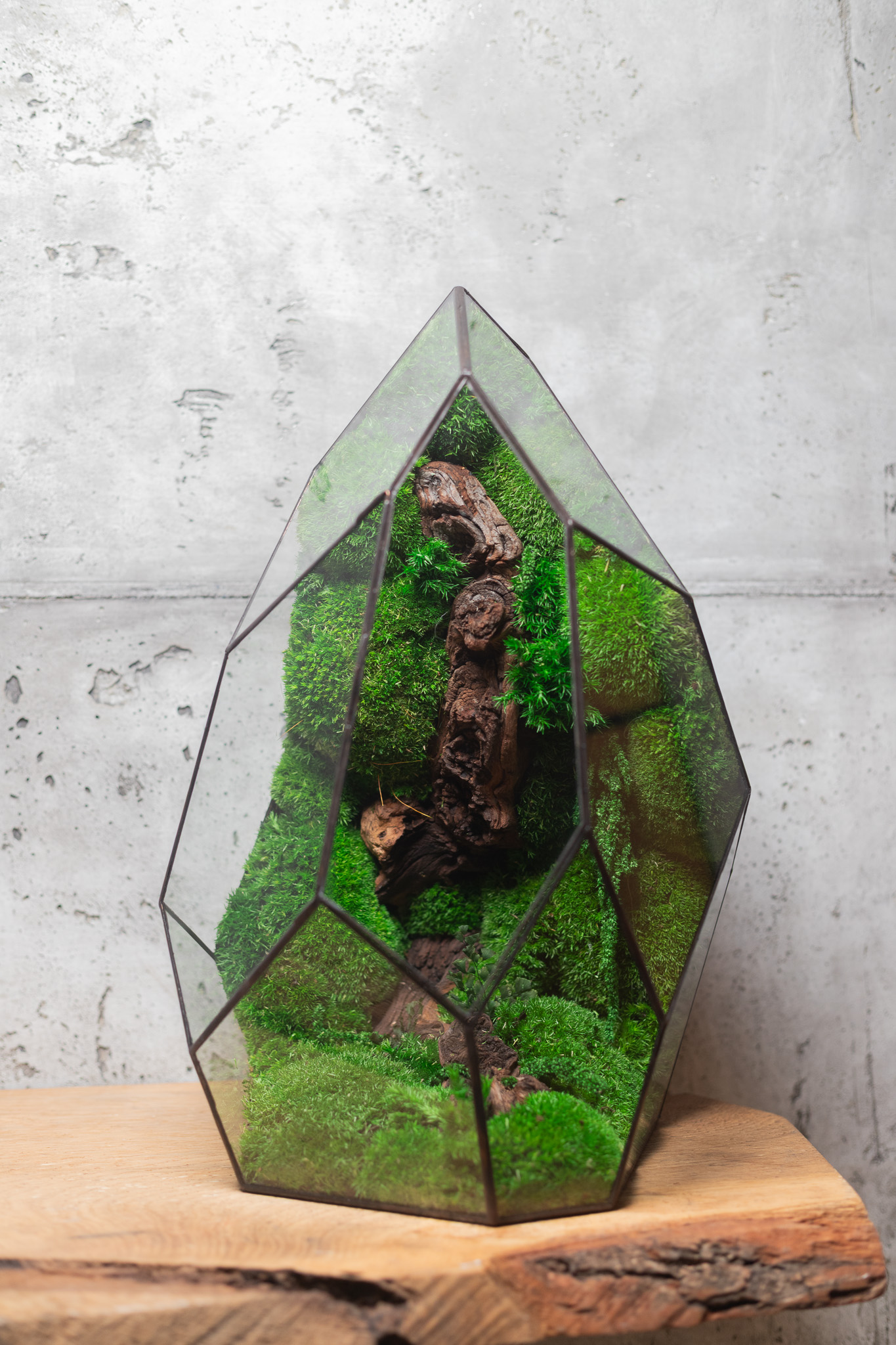 Bezúdržbové machové terárium Veža ako originálny darček